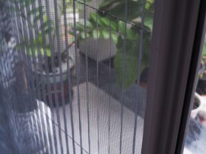 moustiquaire enroulable horizontale